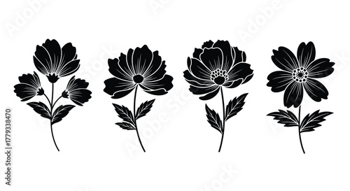 Four black flowers isolated on white background with stems illustration