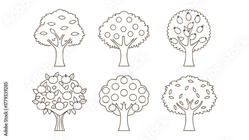 Orchard Illustration: A collection of various trees with bountiful fruits, illustrated with intricate line art, creating a harmonious and vibrant garden.