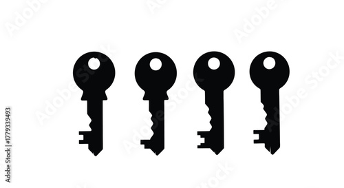 Four key silhouettes isolated on white background, representing security and access