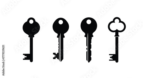Illustration of four different key designs isolated on white background