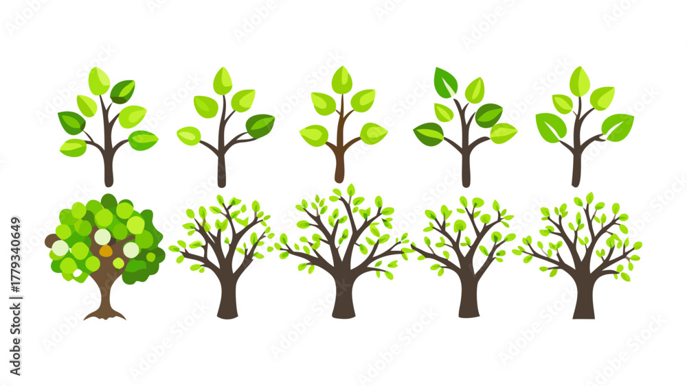 Obraz premium Diverse Trees Illustration: A collection of various tree illustrations, showcasing a variety of shapes and styles, bringing together the beauty of the natural world.