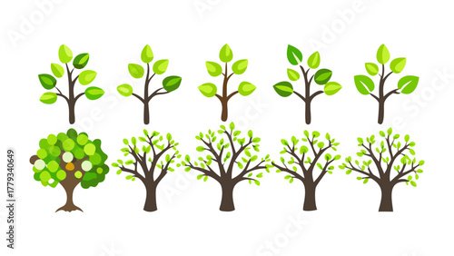 Diverse Trees Illustration: A collection of various tree illustrations, showcasing a variety of shapes and styles, bringing together the beauty of the natural world.