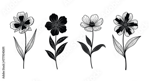 Four elegant flowers with detailed petals isolated on white background