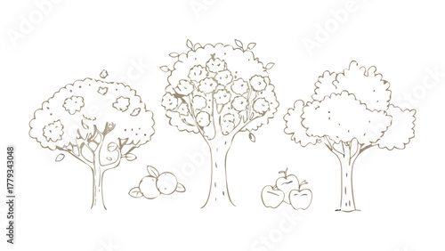 Apples Trees line drawing: Artistic drawing, depicting an apple tree. Emphasizing its simple design and elegance. This line-art conveys a sense of growth, the beauty of the natural world.