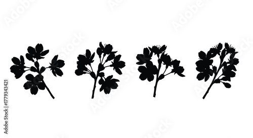 Silhouette of flowering branches isolated on white background