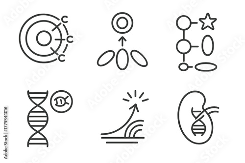 Epigenetics Iconography. Line style icons of epigenetics in development: zygote with epigenetic marks, embryonic stem cell