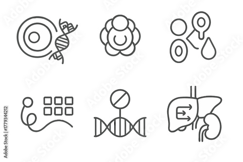 Epigenetics Iconography. Line style icons of epigenetics in development: zygote with epigenetic marks, embryonic stem cell