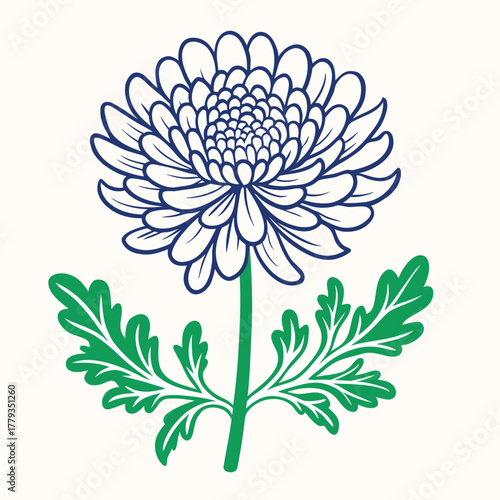 Flat vector illustration, Chrysanthemum (Chrysanthemum) flower, simple minimalist style, solid pastel colors, white background, clean and modern design, high quality vector, smooth edges