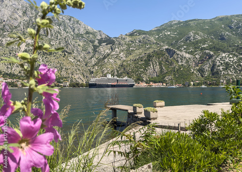 A cruise ship glides through the stunning Bay of Kotor in Montenegro, framed by dramatic mountains and pink hollyhock flowers blooming along the waterfront.