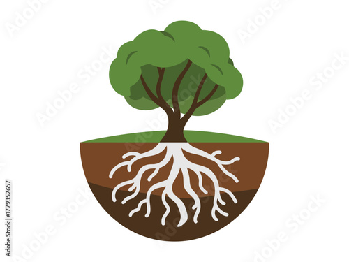 A tree displays its strong root system below the earth's surface, illustrating growth.