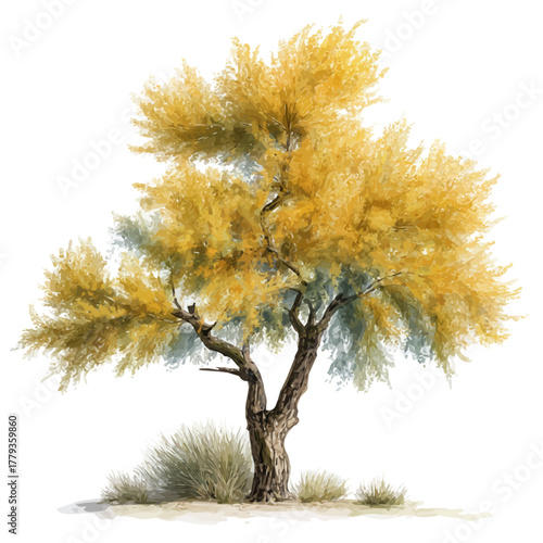 Watercolor painting of Tamarisk Tree, detailed and artistic vector illustration on a white background.