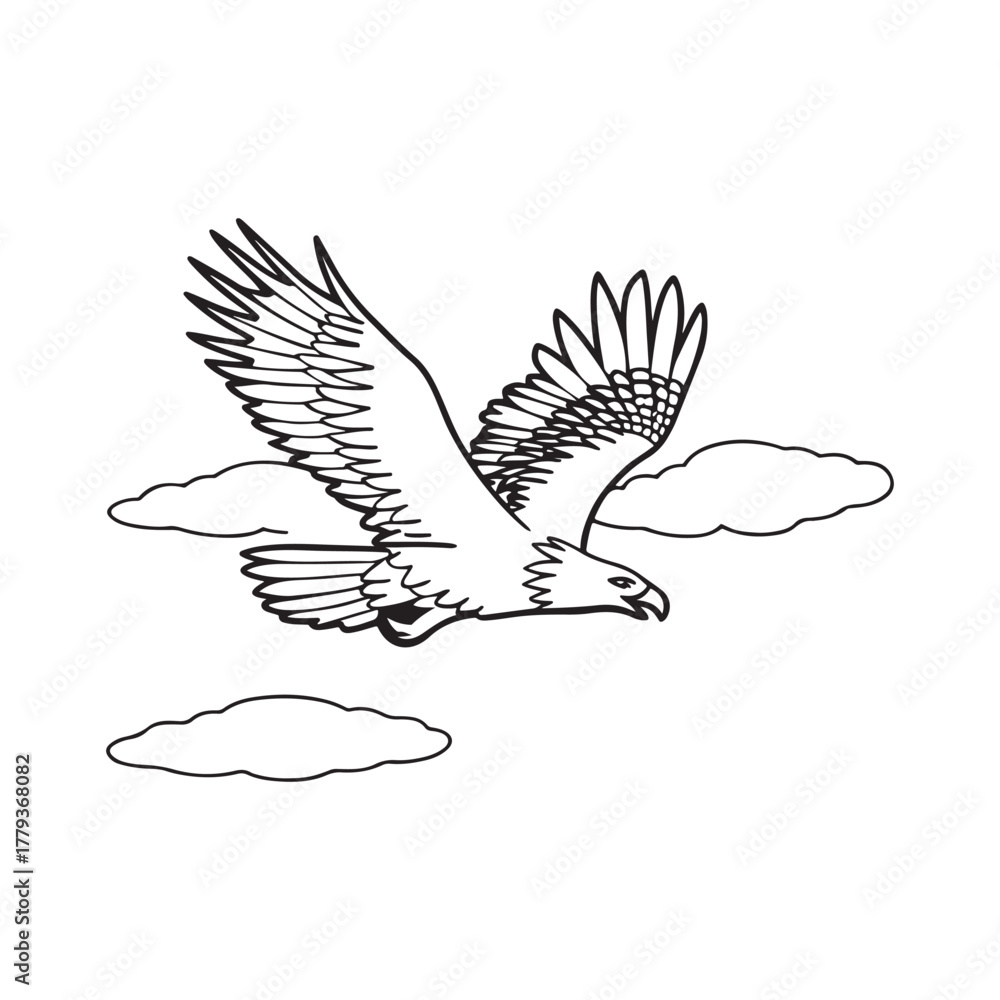 Fototapeta premium Majestic Eagle Soaring Through Clouds Line Art