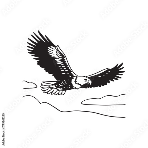 Eagle vector illustration