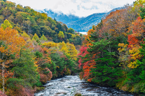 Ryuzu Waterfall or Ryuzu Cascades with autumn background is one of Landmark in Nikko to see autumn colors Nikko, Tochigi, Japan