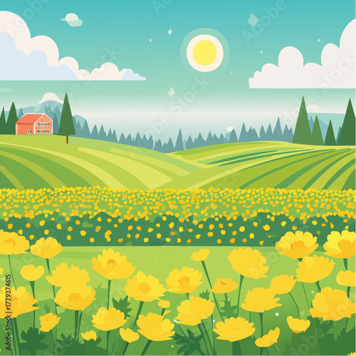 Beautiful buttercup flowers growing in an outdoor rural garden - 2D vector background scene
