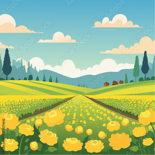 Beautiful buttercup flowers growing in an outdoor rural garden - 2D vector background scene