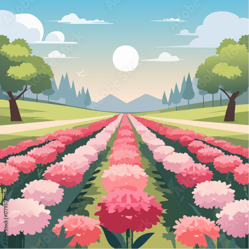 Beautiful carnation flowers growing in an outdoor rural garden - 2D vector background scene