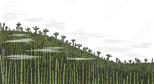 A stylized illustration of a dense bamboo forest covering a misty hillside under a cloudy sky.