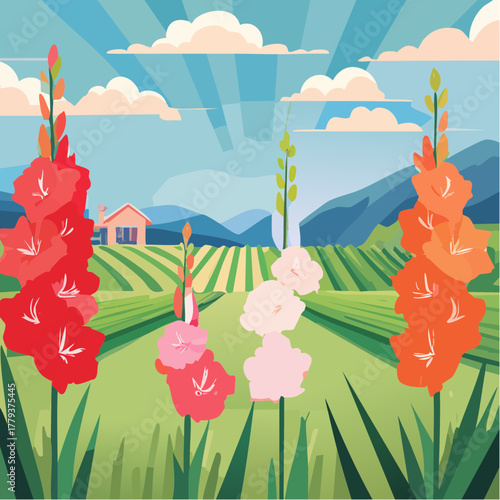 Beautiful gladiolus flowers growing in an outdoor rural garden - 2D vector background scene