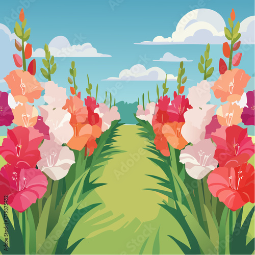 Beautiful gladiolus flowers growing in an outdoor rural garden - 2D vector background scene