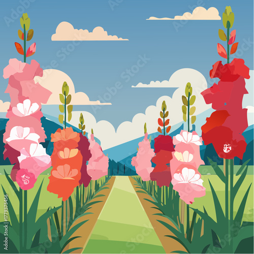 Beautiful gladiolus flowers growing in an outdoor rural garden - 2D vector background scene