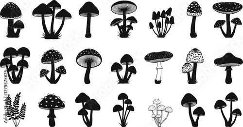 Silhouette mushrooms, fungi collection, botanical illustration, forest plants, wild nature, black vector design, organic shapes, natural elements, woodland art, spores