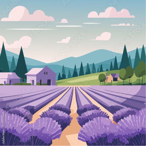 Beautiful lavender flowers growing in an outdoor rural garden - 2D vector background scene