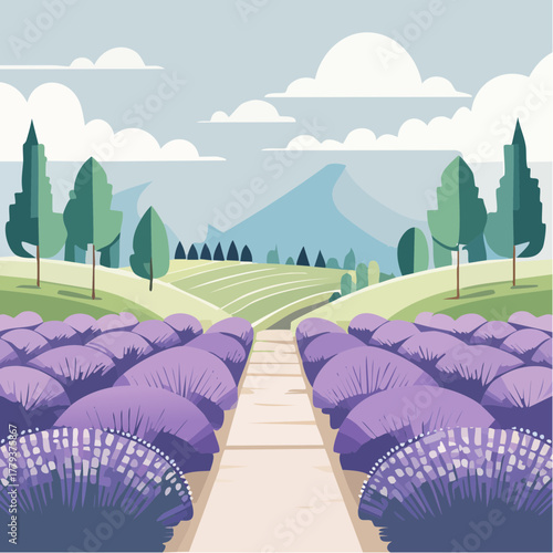 Beautiful lavender flowers growing in an outdoor rural garden - 2D vector background scene