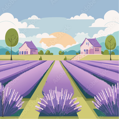 Beautiful lavender flowers growing in an outdoor rural garden - 2D vector background scene