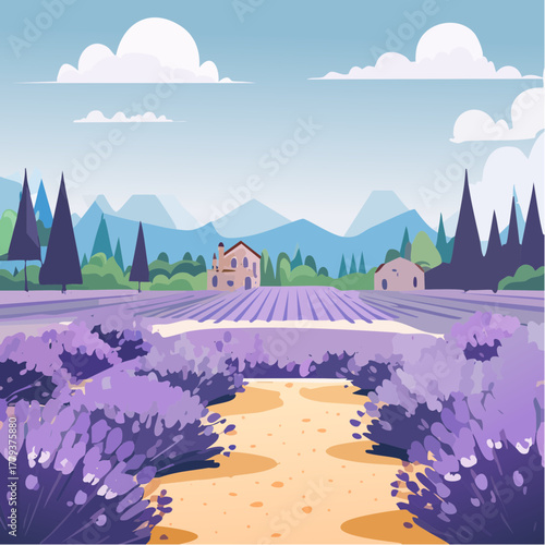 Beautiful lavender flowers growing in an outdoor rural garden - 2D vector background scene