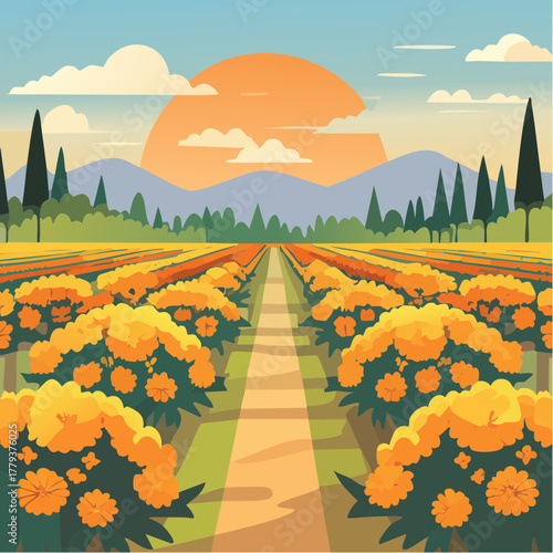 Beautiful marigold flowers growing in an outdoor rural garden - 2D vector background scene