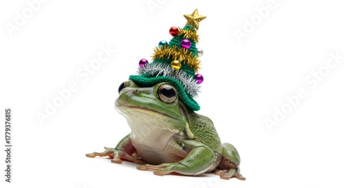 frog wearing a Christmas tree hat, holiday animal graphic, on a white background