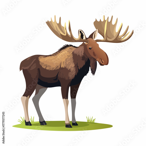 2D animation style moose isolated on white