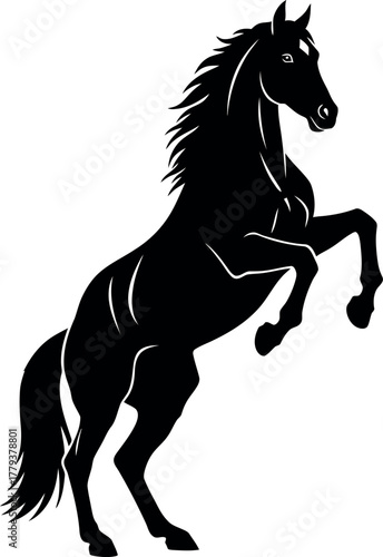 Powerful silhouette of a black horse rearing up on its hind legs with a flowing mane and tail