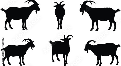 goat, silhouette, animal, vector, livestock, farm, horn, mammal, black, standing, pose, cad, drawing, flat, illustration