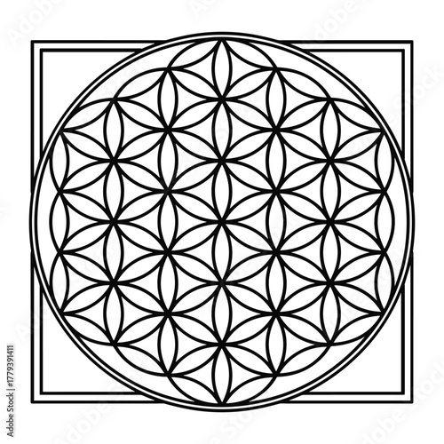 Sacred geometry flower of life circle pattern design
