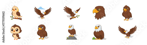 Cartoon Illustrations of Eagles and Hawks Collection