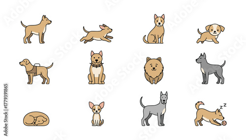 Dog Illustrations Set with Twelve Different Poses and Characteristics