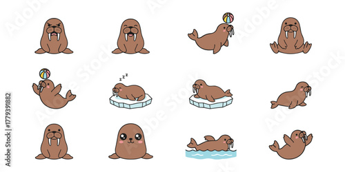 Cute Cartoon Walruses Collection
