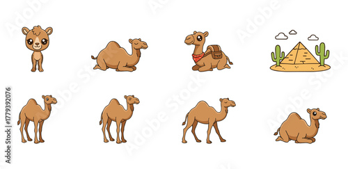 Camel Cartoon Illustrations Set