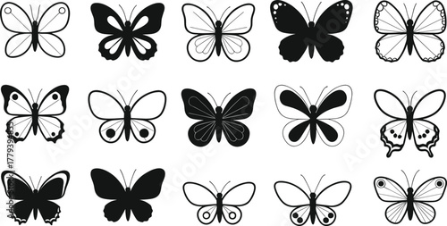 Black and white butterfly collection, decorative insect silhouette, symmetrical wing patterns, ornamental vector design, cad drawing flat vector illustration