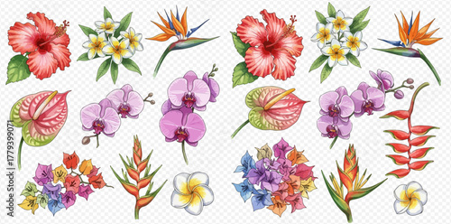 A vibrant collection of watercolor tropical flowers including hibiscus, orchids, plumeria, bird of paradise, anthurium, heliconia, and bougainvillea.