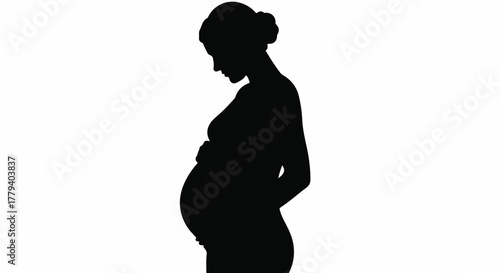 Pregnancy Silhouette Vector Illustration of a Woman Expecting a Child