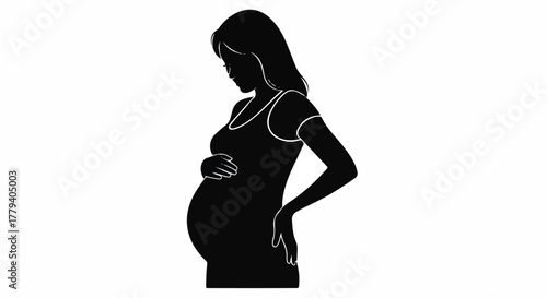 Silhouette of a Pregnant Woman Embracing Motherhood and Anticipating New Life