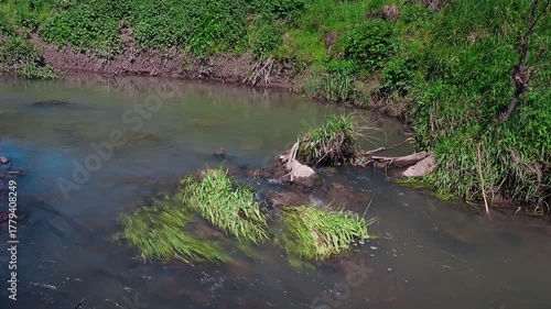 Serene River with Lush Greenery