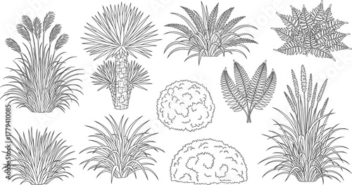 Tropical Plants and Garden Bushes Vector Set in Black and White Line Art