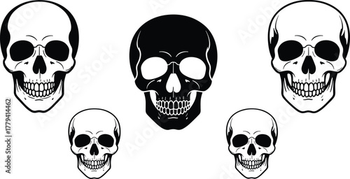 skull, silhouette, anatomy, head, bone, skeleton, horror, death, vector, cad, drawing, flat, black, gothic, illustration