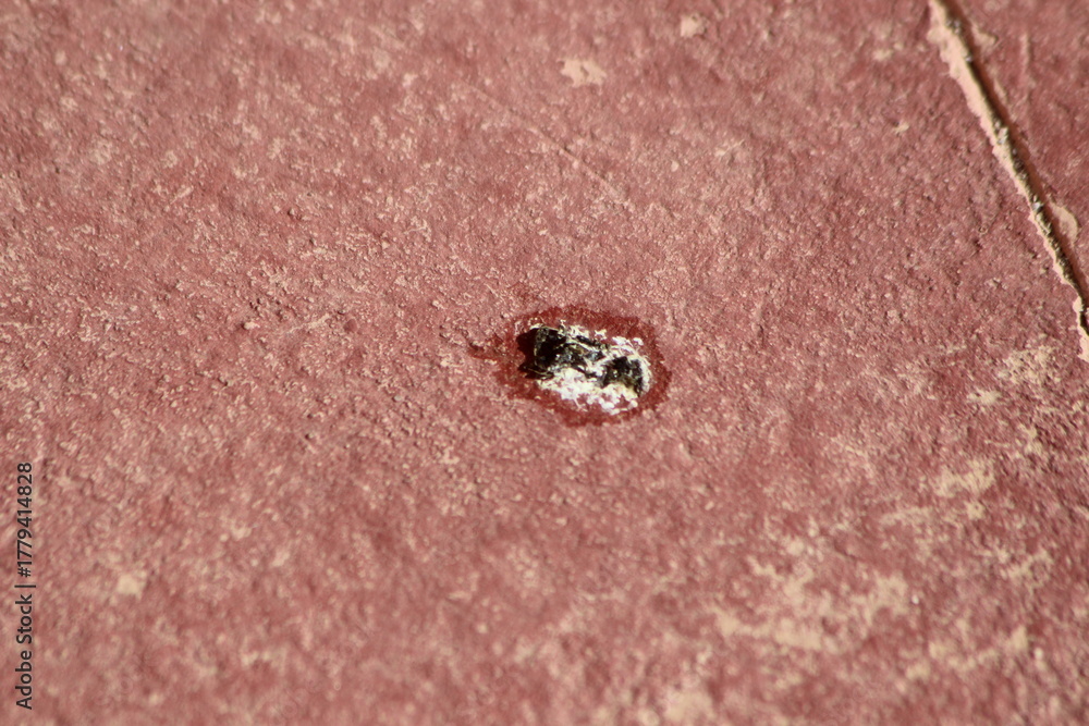Obraz premium Bird poop on the floor, dirty floor