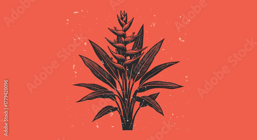 Stylized Heliconia Plant Illustration on Coral Backdrop with Grunge Texture