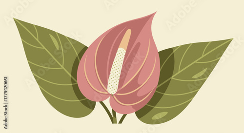 Elegant botanical illustration showcasing anthurium flower with lush foliage